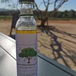 L'arbre Qui Chante 4*