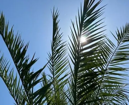 L'arbre Qui Chante Saint-Etienne-de-Sermantin