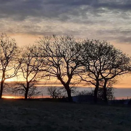 L'arbre Qui Chante Saint-Etienne-de-Sermantin